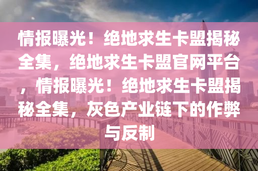 情报曝光！绝地求生卡盟揭秘全集，绝地求生卡盟官网平台，情报曝光！绝地求生卡盟揭秘全集，灰色产业链下的作弊与反制