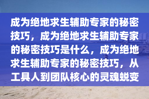 成为绝地求生辅助专家的秘密技巧，成为绝地求生辅助专家的秘密技巧是什么，成为绝地求生辅助专家的秘密技巧，从工具人到团队核心的灵魂蜕变