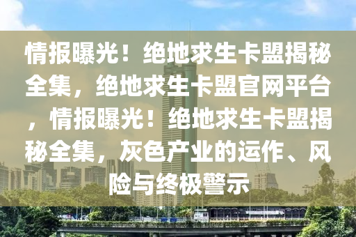 情报曝光！绝地求生卡盟揭秘全集，绝地求生卡盟官网平台，情报曝光！绝地求生卡盟揭秘全集，灰色产业的运作、风险与终极警示