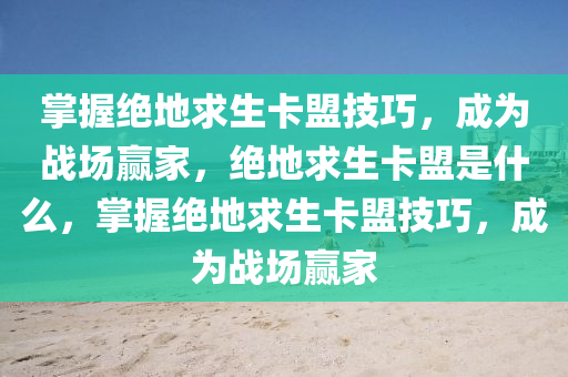 掌握绝地求生卡盟技巧，成为战场赢家，绝地求生卡盟是什么，掌握绝地求生卡盟技巧，成为战场赢家