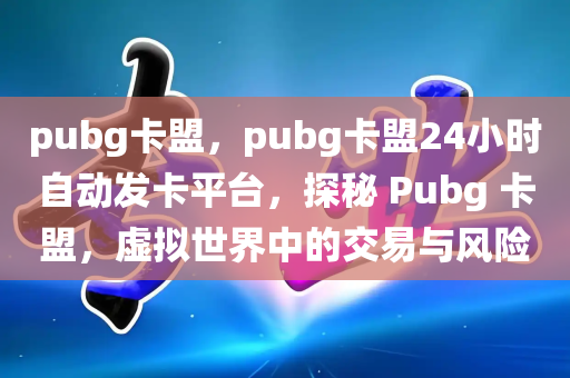 pubg卡盟，pubg卡盟24小时自动发卡平台，探秘 Pubg 卡盟，虚拟世界中的交易与风险