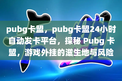 pubg卡盟，pubg卡盟24小时自动发卡平台，探秘 Pubg 卡盟，游戏外挂的滋生地与风险