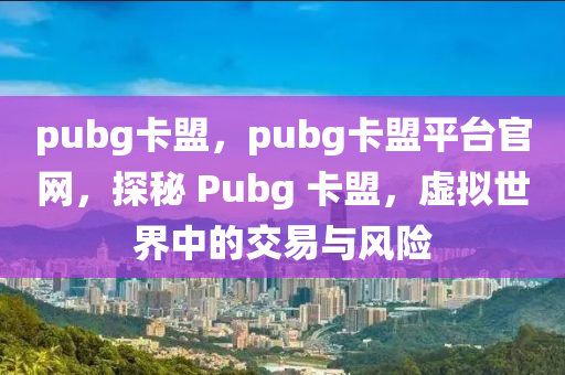 pubg卡盟，pubg卡盟平台官网，探秘 Pubg 卡盟，虚拟世界中的交易与风险