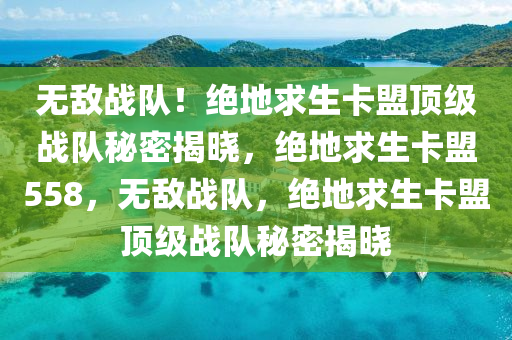 无敌战队！绝地求生卡盟顶级战队秘密揭晓，绝地求生卡盟558，无敌战队，绝地求生卡盟顶级战队秘密揭晓