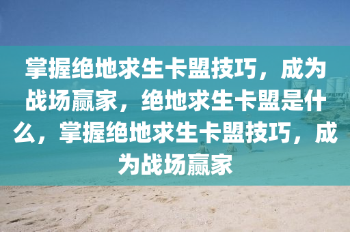 掌握绝地求生卡盟技巧，成为战场赢家，绝地求生卡盟是什么，掌握绝地求生卡盟技巧，成为战场赢家