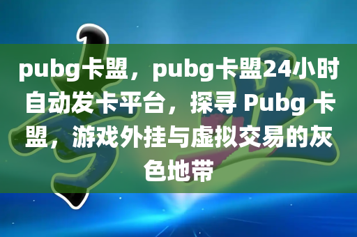 pubg卡盟，pubg卡盟24小时自动发卡平台，探寻 Pubg 卡盟，游戏外挂与虚拟交易的灰色地带