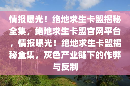 情报曝光！绝地求生卡盟揭秘全集，绝地求生卡盟官网平台，情报曝光！绝地求生卡盟揭秘全集，灰色产业链下的作弊与反制