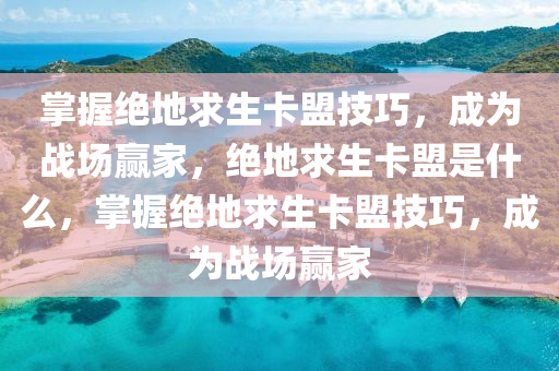 掌握绝地求生卡盟技巧，成为战场赢家，绝地求生卡盟是什么，掌握绝地求生卡盟技巧，成为战场赢家