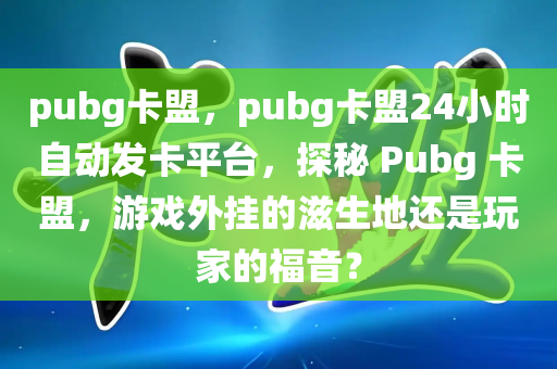 pubg卡盟，pubg卡盟24小时自动发卡平台，探秘 Pubg 卡盟，游戏外挂的滋生地还是玩家的福音？