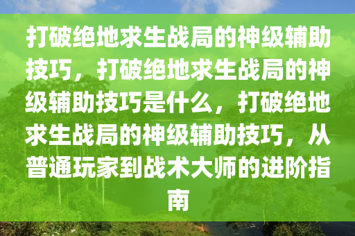 打破绝地求生战局的神级辅助技巧，打破绝地求生战局的神级辅助技巧是什么，打破绝地求生战局的神级辅助技巧，从普通玩家到战术大师的进阶指南