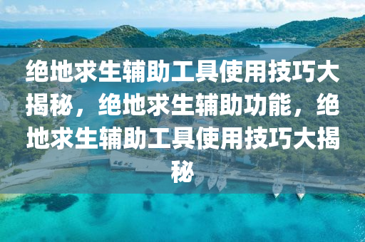 绝地求生辅助工具使用技巧大揭秘，绝地求生辅助功能，绝地求生辅助工具使用技巧大揭秘