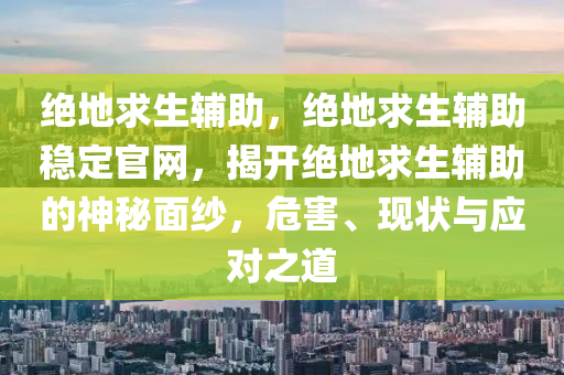 绝地求生辅助，绝地求生辅助稳定官网，揭开绝地求生辅助的神秘面纱，危害、现状与应对之道