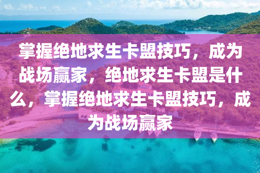 掌握绝地求生卡盟技巧，成为战场赢家，绝地求生卡盟是什么，掌握绝地求生卡盟技巧，成为战场赢家