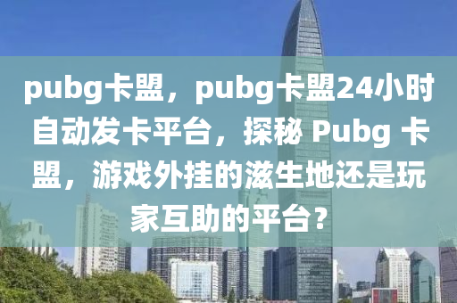 pubg卡盟，pubg卡盟24小时自动发卡平台，探秘 Pubg 卡盟，游戏外挂的滋生地还是玩家互助的平台？