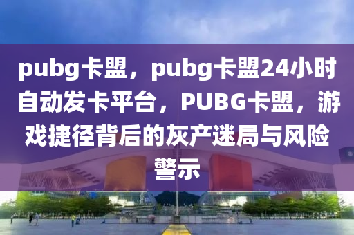 pubg卡盟，pubg卡盟24小时自动发卡平台，PUBG卡盟，游戏捷径背后的灰产迷局与风险警示