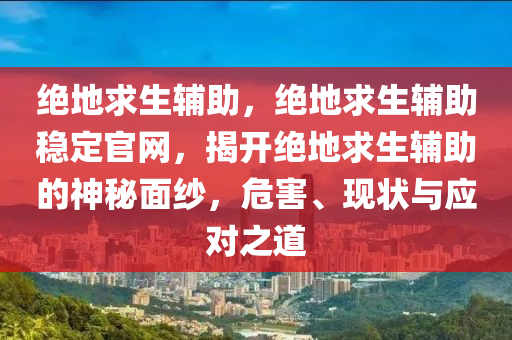 绝地求生辅助，绝地求生辅助稳定官网，揭开绝地求生辅助的神秘面纱，危害、现状与应对之道