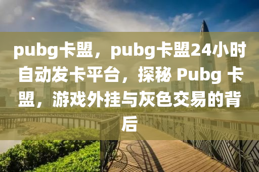 pubg卡盟，pubg卡盟24小时自动发卡平台，探秘 Pubg 卡盟，游戏外挂与灰色交易的背后