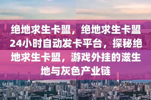 绝地求生卡盟，绝地求生卡盟24小时自动发卡平台，探秘绝地求生卡盟，游戏外挂的滋生地与灰色产业链