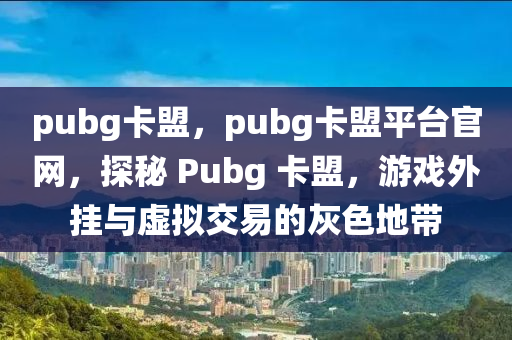 pubg卡盟，pubg卡盟平台官网，探秘 Pubg 卡盟，游戏外挂与虚拟交易的灰色地带