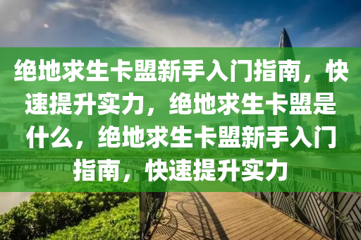绝地求生卡盟新手入门指南，快速提升实力，绝地求生卡盟是什么，绝地求生卡盟新手入门指南，快速提升实力