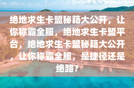 绝地求生卡盟秘籍大公开，让你称霸全服，绝地求生卡盟平台，绝地求生卡盟秘籍大公开，让你称霸全服，是捷径还是绝路？