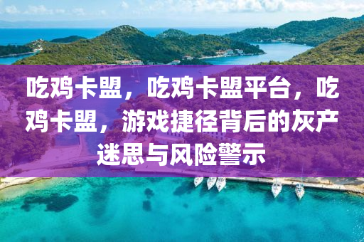 吃鸡卡盟，吃鸡卡盟平台，吃鸡卡盟，游戏捷径背后的灰产迷思与风险警示