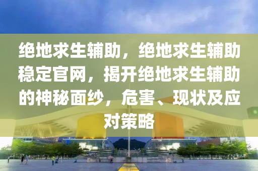 绝地求生辅助，绝地求生辅助稳定官网，揭开绝地求生辅助的神秘面纱，危害、现状及应对策略