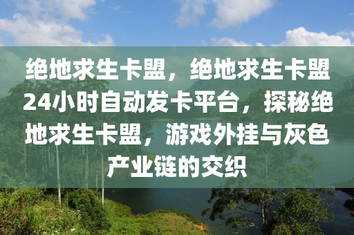 绝地求生卡盟，绝地求生卡盟24小时自动发卡平台，探秘绝地求生卡盟，游戏外挂与灰色产业链的交织