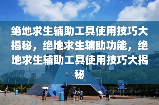 绝地求生辅助工具使用技巧大揭秘，绝地求生辅助功能，绝地求生辅助工具使用技巧大揭秘