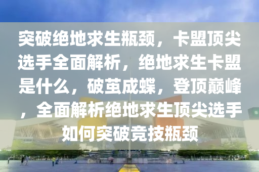 突破绝地求生瓶颈，卡盟顶尖选手全面解析，绝地求生卡盟是什么，破茧成蝶，登顶巅峰，全面解析绝地求生顶尖选手如何突破竞技瓶颈