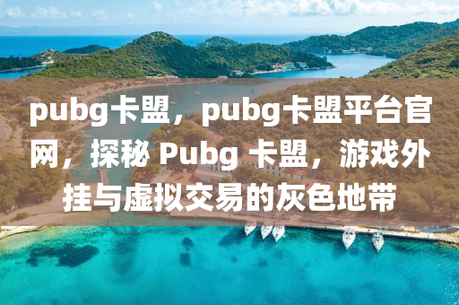 pubg卡盟，pubg卡盟平台官网，探秘 Pubg 卡盟，游戏外挂与虚拟交易的灰色地带