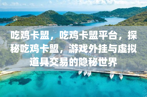 吃鸡卡盟，吃鸡卡盟平台，探秘吃鸡卡盟，游戏外挂与虚拟道具交易的隐秘世界