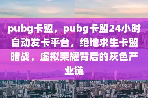 pubg卡盟，pubg卡盟24小时自动发卡平台，绝地求生卡盟暗战，虚拟荣耀背后的灰色产业链