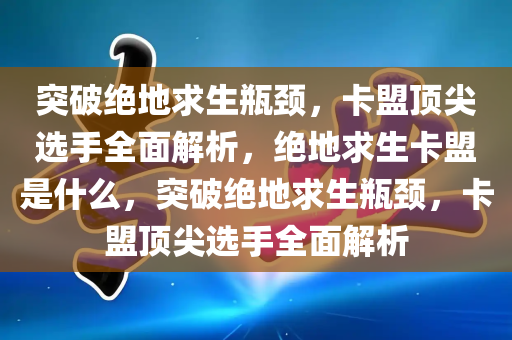 突破绝地求生瓶颈，卡盟顶尖选手全面解析，绝地求生卡盟是什么，突破绝地求生瓶颈，卡盟顶尖选手全面解析