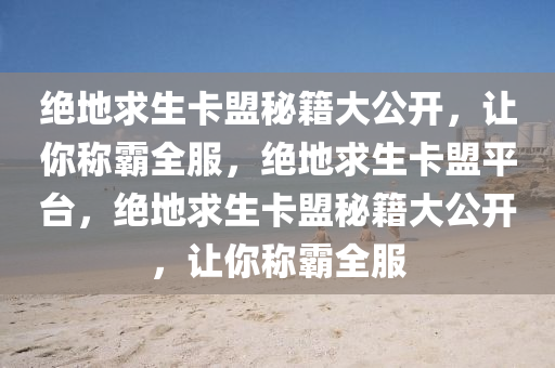 绝地求生卡盟秘籍大公开，让你称霸全服，绝地求生卡盟平台，绝地求生卡盟秘籍大公开，让你称霸全服