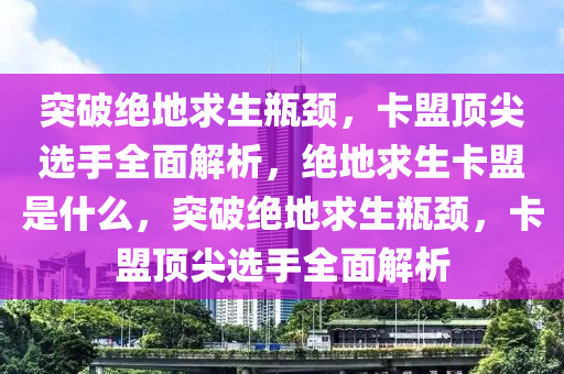 突破绝地求生瓶颈，卡盟顶尖选手全面解析，绝地求生卡盟是什么，突破绝地求生瓶颈，卡盟顶尖选手全面解析