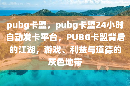 pubg卡盟，pubg卡盟24小时自动发卡平台，PUBG卡盟背后的江湖，游戏、利益与道德的灰色地带