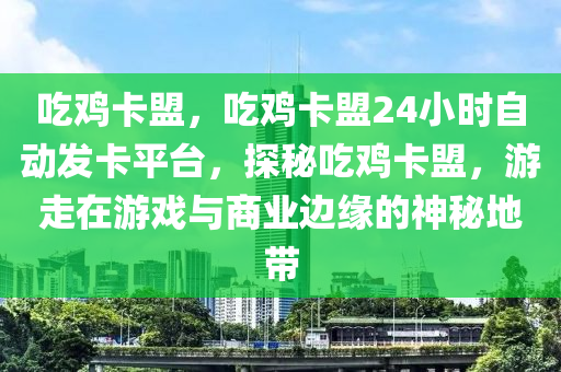 吃鸡卡盟，吃鸡卡盟24小时自动发卡平台，探秘吃鸡卡盟，游走在游戏与商业边缘的神秘地带