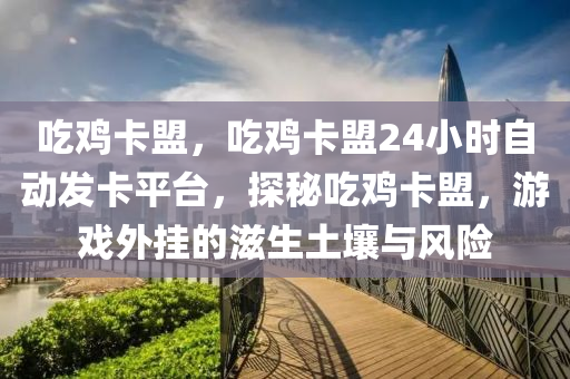 吃鸡卡盟，吃鸡卡盟24小时自动发卡平台，探秘吃鸡卡盟，游戏外挂的滋生土壤与风险