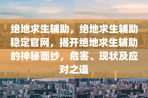 绝地求生辅助，绝地求生辅助稳定官网，揭开绝地求生辅助的神秘面纱，危害、现状及应对之道