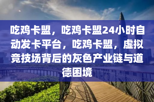 吃鸡卡盟，吃鸡卡盟24小时自动发卡平台，吃鸡卡盟，虚拟竞技场背后的灰色产业链与道德困境