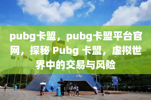 pubg卡盟，pubg卡盟平台官网，探秘 Pubg 卡盟，虚拟世界中的交易与风险