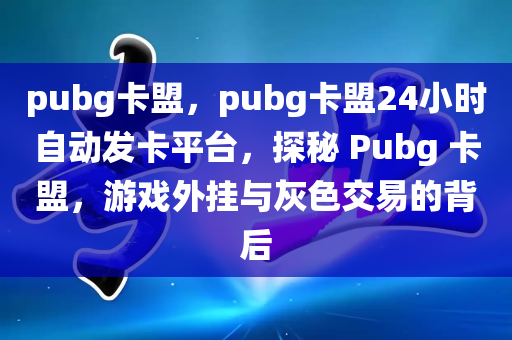 pubg卡盟，pubg卡盟24小时自动发卡平台，探秘 Pubg 卡盟，游戏外挂与灰色交易的背后