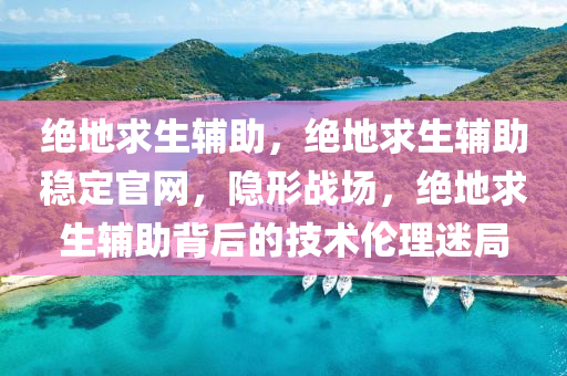 绝地求生辅助，绝地求生辅助稳定官网，隐形战场，绝地求生辅助背后的技术伦理迷局
