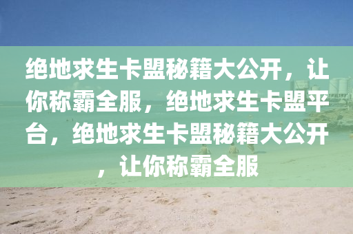 绝地求生卡盟秘籍大公开，让你称霸全服，绝地求生卡盟平台，绝地求生卡盟秘籍大公开，让你称霸全服