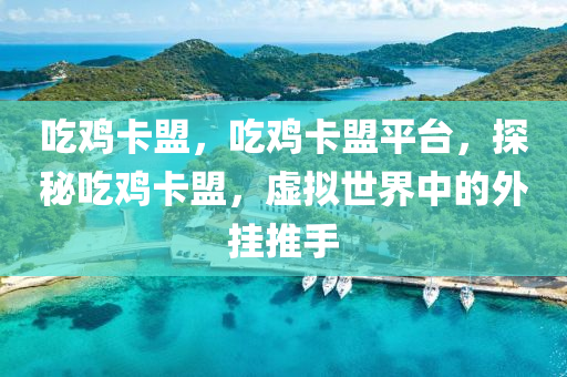 吃鸡卡盟，吃鸡卡盟平台，探秘吃鸡卡盟，虚拟世界中的外挂推手