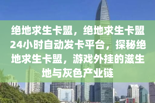 绝地求生卡盟，绝地求生卡盟24小时自动发卡平台，探秘绝地求生卡盟，游戏外挂的滋生地与灰色产业链