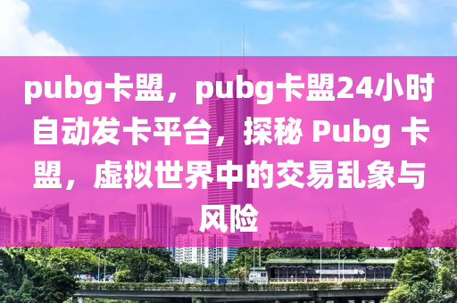 pubg卡盟，pubg卡盟24小时自动发卡平台，探秘 Pubg 卡盟，虚拟世界中的交易乱象与风险