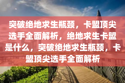 突破绝地求生瓶颈，卡盟顶尖选手全面解析，绝地求生卡盟是什么，突破绝地求生瓶颈，卡盟顶尖选手全面解析