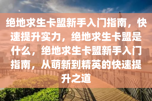 绝地求生卡盟新手入门指南，快速提升实力，绝地求生卡盟是什么，绝地求生卡盟新手入门指南，从萌新到精英的快速提升之道